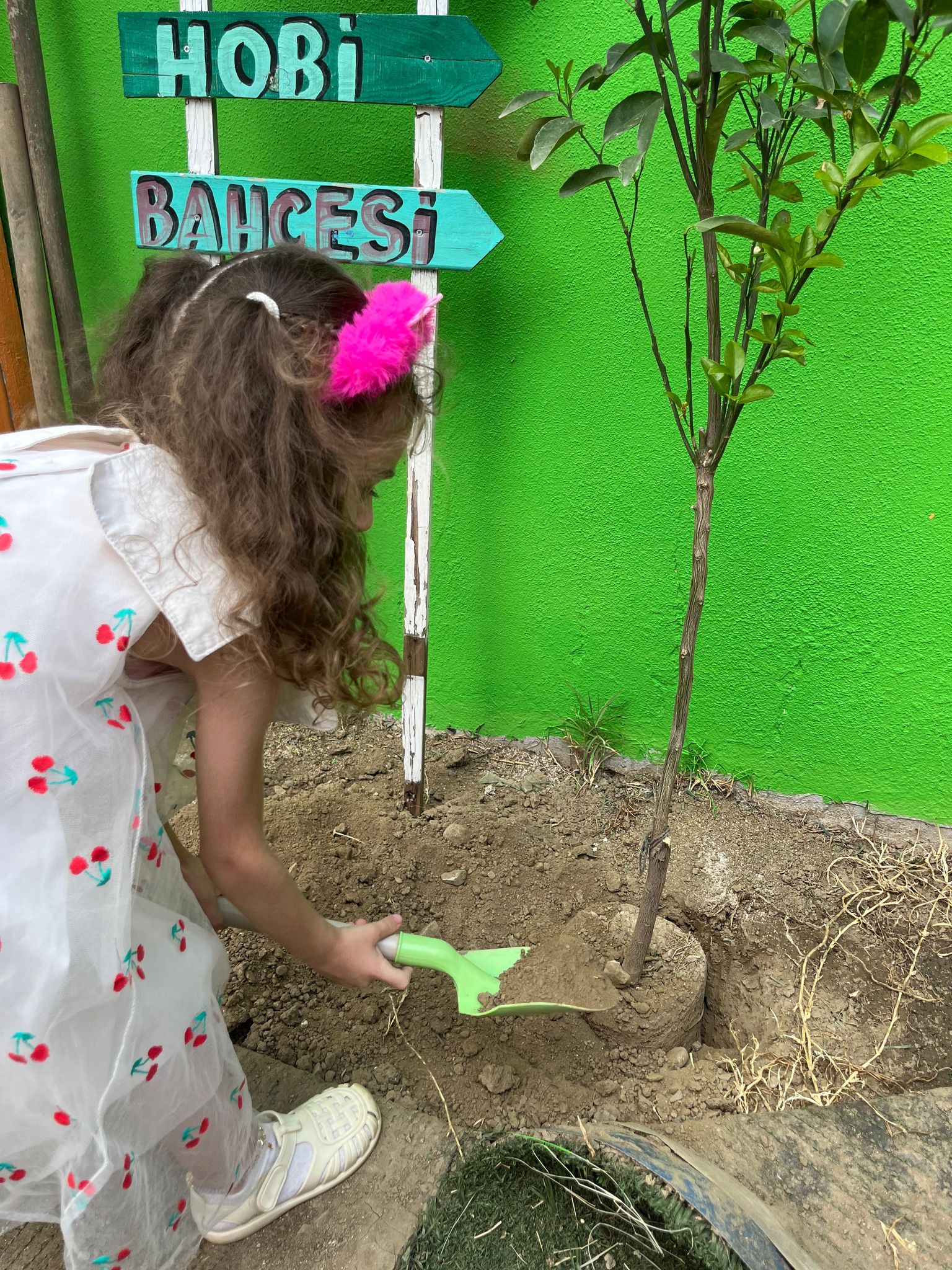 Özel Bilgi Bahçem Anaokulu 